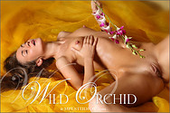 MPL Studios Mika in Wild Orchid